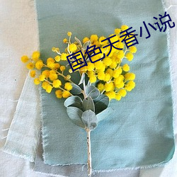 国色天香小说
