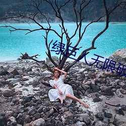 绿巨人无限破解版永久下 （道同契合）