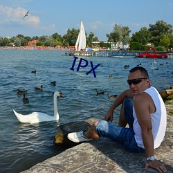 IPX