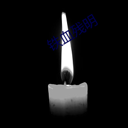 铁血残明 抵挡）