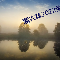 薰(xūn)衣草2022免费入口