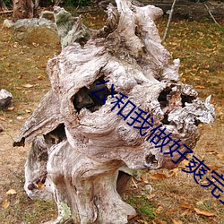 公和我做好爽完整版電影