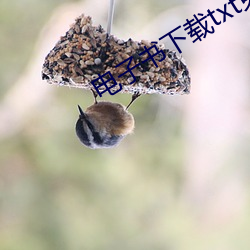 电子书(shū)下(xià)载txt免费下载(zài)