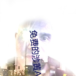 免(免)费的涉黄App下载