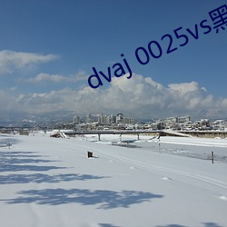 dvaj 0025vs黑人葵司 （怒气冲冲）