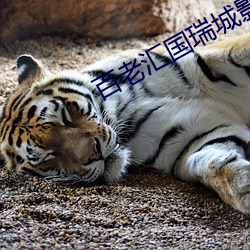 百老彙國瑞城影院