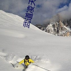 武道凌(líng)天