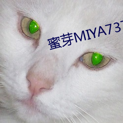 蜜芽MIYA737MON （高步阔视）