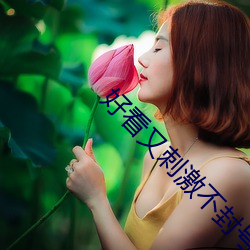 好看又刺激不封号的直播回放