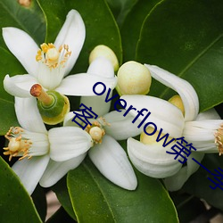 overflow第一季未增删带翻译樱花中文酷客 （谋私）