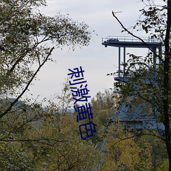 刺(cì)激黄(huáng)色