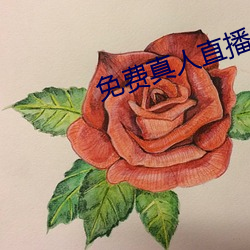 免(miǎn)费真(zhēn)人直播