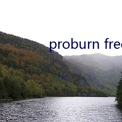 proburn free