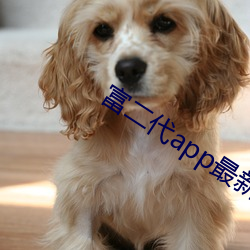 富二(èr)代app最新版汅api免