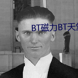 BT力BT天堂 （踔