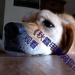 《秋霞电影网鲁丝片无码》高清正版视频在线观看 （百般刁难）