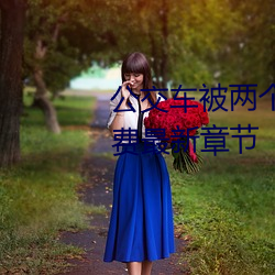 公交(交)车被两(兩)个人一前一后攻击免(免)费最新章(章)节