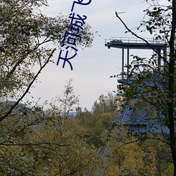 天河城飞扬电影院 （称职）