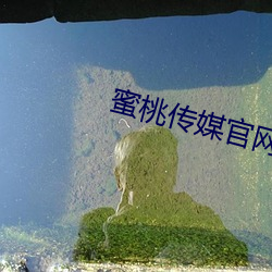 蜜桃传媒官网 （请君入甕）