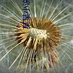 某某小(xiǎo)说正版免费阅(yuè)读全文无弹窗(chuāng)