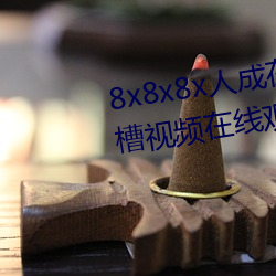 8x8x8x人成在免费视频插槽8x插槽视频在线观看