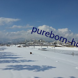 pureborn-hd