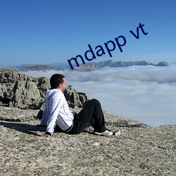 mdapp vt