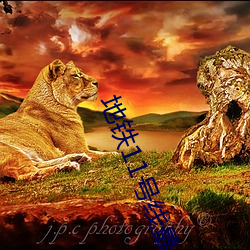 地铁11号线(線)最(最)新线路(路)图
