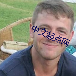 中文起点网 （鱼沉鸿断）