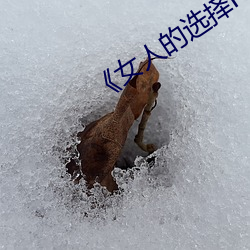 《女人的(的)选择HD中字(字)