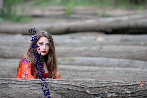 百年虚云电视剧全集免费观看
