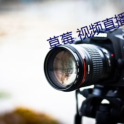 草莓 视频直播免费 （每饭不忘）