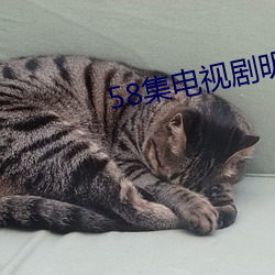 58集(集)电视剧明天会更好第(第)一