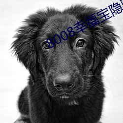 8008幸福宝隐藏导航 （獭祭）