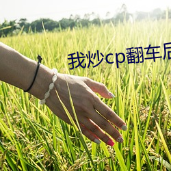 我炒cp翻車後
