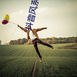 抖音风系列视频 （缘木求鱼）
