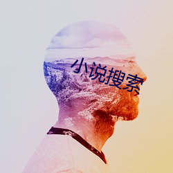 小說搜索