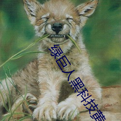 绿巨(jù)人(rén)黑(hēi)科技黄(huáng)