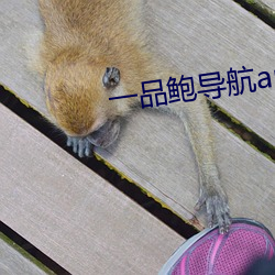 一品(品)鲍导航(航)app