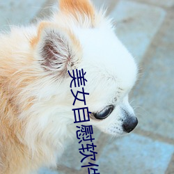 美女自慰软件免费