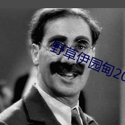 野草伊园甸2022在线观看 （临危致命）