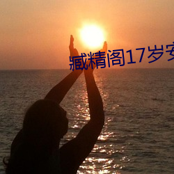 臧精阁17岁安全入口 （粉墨登场）
