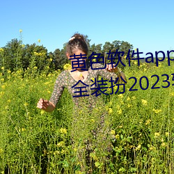 黄色软件app3.0.3免费vivo版(bǎn)大全装扮2023软件