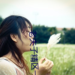 老夫子精區一品精區