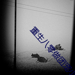 重生八零做团宠小福宝