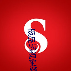 极品透视保镖