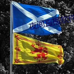 夜間直播軟件下載
