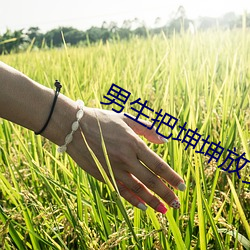男(男)生把坤坤放女生(生)坤(坤)坤里为