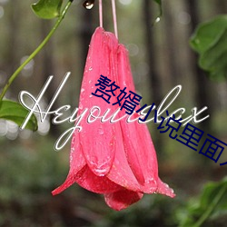 赘婿小(xiǎo)说(shuō)里(lǐ)面刘西瓜的结局
