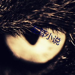 左耳小说 （谛听）